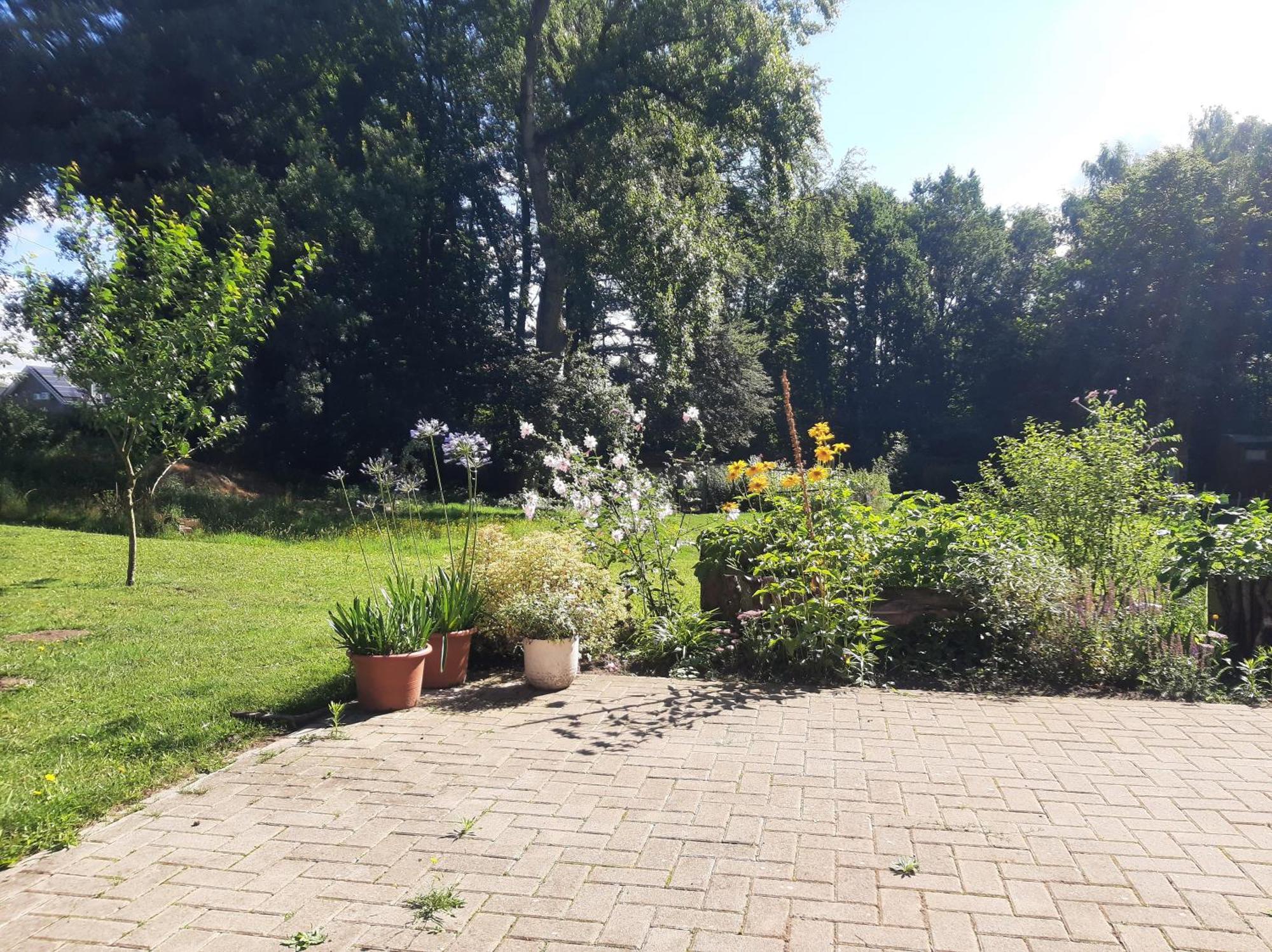 Ferienwohnung Auf Dem Land Ladbergen Eksteriør bilde